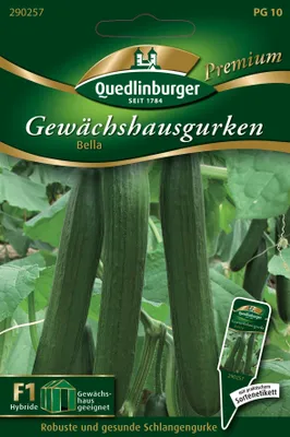 Produktbild von Quedlinburger Saatgut - Gewächshausgurken Bella - Samen - 290257