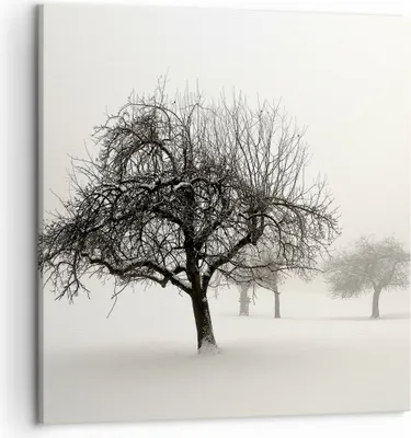 Produktbild von Bild auf Leinwand - Leinwandbild - Einteilig - Bäume Schnee Nebel - 50x50cm - Wand Bild - Wanddeko - Wandbilder - Leinwanddruck - Bilder - Wanddekoration - Leinwand bilder - Wandbild - AC50x50-4136