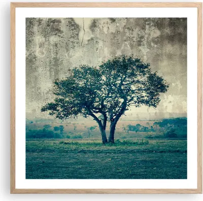 Produktbild von Gerahmtes Poster - Rahmen in heller Eiche - Baum Natur Feld - 60x60 cm - Wand Bild - Wanddeko - Wandbilder - Kunstposter - Wandposter - Bilderrahmen - Bilder - Kunstdruck - Wandbild - P2NAC60x60-3627