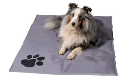 Produktbild von dobar Große Kühlmatte für Hunde, selbstkühlende Haustiermatte mit Pfoten Muster, 99,5 x 70 cm, Grau