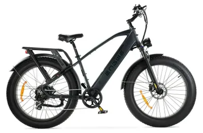 Immagine prodotto di ENGWE E26 - Fat bike elettrica con lucchetto a catena - 26 pollici - Motore 250W - Autonomia 75 km - 7 marce - Freni a disco idraulici - Batteria 768Wh - Forcella ammortizzata - Nero