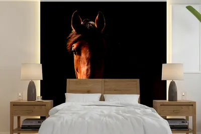 Produktbild von MuchoWow® Fototapete für Wohnzimmer oder Schlafzimmer Wandtapete Vinyl Motivtapete Pferd - Licht - Porträt - 350x350 cm - Schlafzimmertapete