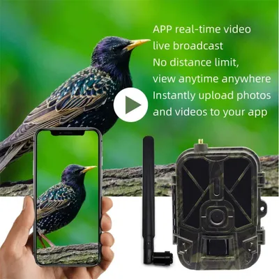 Obrázek produktu pro Wildcamera – Kamera pro pozorování divoké zvěře – Kamera pro sledování terénu – Kamera pro pozorování přírody – Venkovní kamera – Připojení 4G