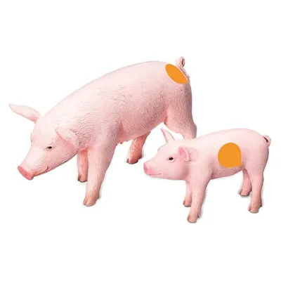 Produktbild von Tiptoi Bauernhof Spielfigur Schwein