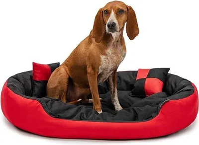 Produktbild von Famanu Hundematte Komfortabel und Vielseitig - Umkehrbares Kissen für Innen und Außen