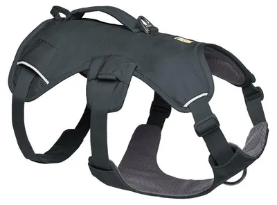 Produktbild von Ruffwear Web Master Geschirr Basalt Gray S