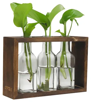 Zdjęcie produktu dla Solidchoice - Szklane terrarium na rośliny z drewnianą podstawką, idealne do uprawy roślin hydroponicznych