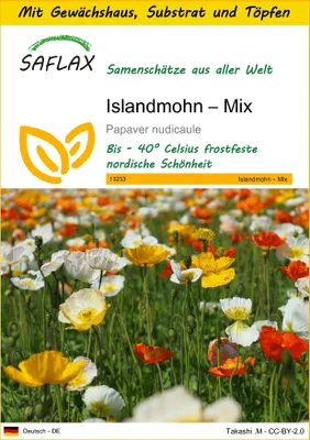 Produktbild von SAFLAX Anzucht Set - Islandmohn – Mix - Papaver nudicaule - 8000 Samen - Mit Mini-Gewächshaus, Anzuchtsubstrat und 2 Töpfen