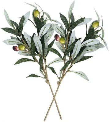 Image de Branches d'olivier artificielles vertes - Décoration
