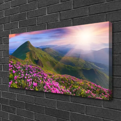 Produktbild von Tulup Leinwand-Bilder 100x50 Wandbild Canvas Kunstdruck Gebirge Wiese Blume Landschaft