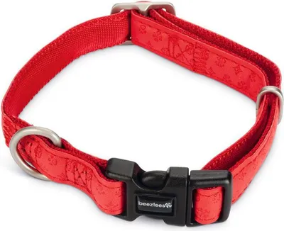 Produktbild von Beeztees - Hundehalsband - Mac Kunstleder - rot - 20-40 cm