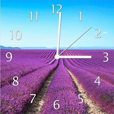 Produktbild von Wallario Design Wanduhr Lavendelfeld unter blauem Himmel aus Echtglas, Größe 30 x 30 cm