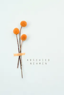 Produktbild von Trauer  Beileids-Kondolenzkarten im Format  11,5 x 17 cm - Blumen
