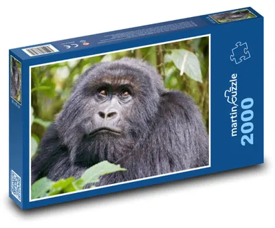 Obrázok produktu pre Puzzle 2000 Gorila v Džungli - martinpuzzle