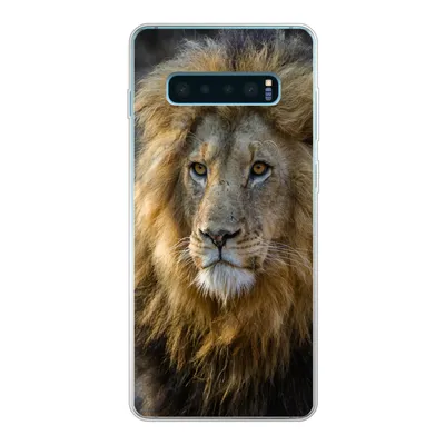 Produktbild von MuchoWow® Handyhülle Schutzhülle Hülle für Samsung Galaxy S10 Plus Löwe - Porträt - Wild Silikon Softcase Handy Hülle - Schutzhülle