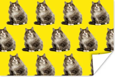 Produktbild von MuchoWow® Poster Katze - Muster - Gelb 180x120 cm - Fotoplakat