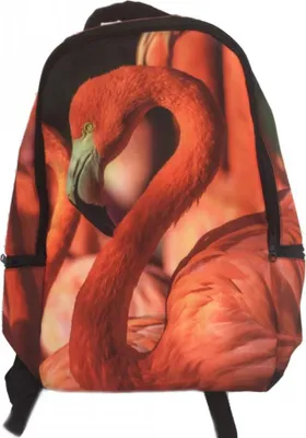 Produktbild von Rucksack Flamingo, 42x28x12 cm, Tier Tiere Vogel Eyecatcher Rucksäcke Tasche Taschen Flamingos