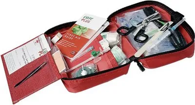Zdjęcie produktu dla Care Plus 38313, Apteczka pierwszej pomocy podróżna, Czerwony, Nylon, Zamek błyskawiczny, 1195 mm, 60 mm