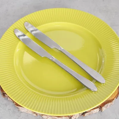 Image de Deux couteaux de table en inox 24 cm, passent au lave-vaisselle