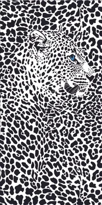 Produktbild von FEBE Strandtuch XXL 100x180 cm Weißer Panther Badetuch Groß 100% Mikrofaser Handtuch Stranddecke Sommer-Handtüch