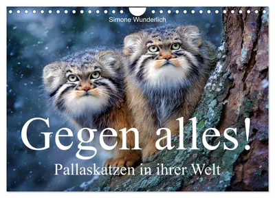 Produktbild von Gegen alles! - Pallaskatzen in ihrer Welt (Wandkalender 2027 DIN A4 quer), CALVENDO Monatskalender