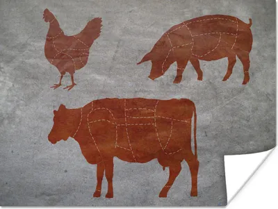 Produktbild von MuchoWow® Poster Fleischerdiagramm eines Huhns, eines Schweins und einer Kuh 40x30 cm - Plakate für die Wände - Poster Wohnzimmer
