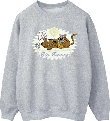 Produktbild von Scooby Doo - Sweatshirt für Herren BI51593 (S) (Grau)