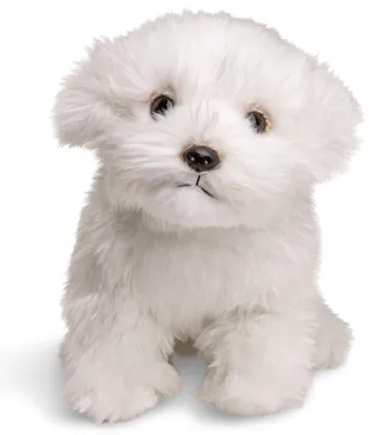 Produktbild von Uni-Toys - Malteser (ohne Leine) - 26 cm (Länge) - Plüsch-Hund, Haustier - Plüschtier, Kuscheltier