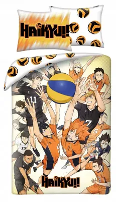 Produktbild von Bettwäsche Haikyu!! - Heroes