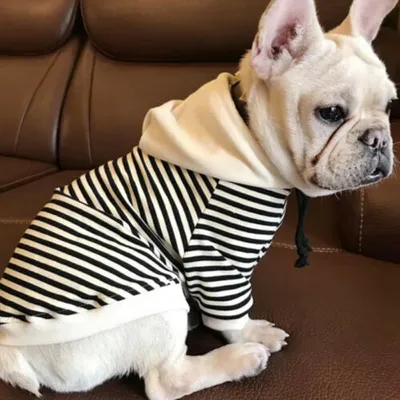 Produktbild von Haustier-Hundekatzen-Bulldoggen-Kleidungs-T-Shirt gestreifte Welpen-Hoodie-Mantel-Kleidung - XL