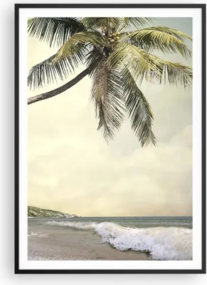 Produktbild von Gerahmtes Poster - Schwarzer Rahmen - Palme Strand Insel - 70x100 cm - Wand Bild - Wanddeko - Wandbilder - Kunstposter - Wandposter - Bilderrahmen - Bilder - Kunstdruck - Wandbild - P2BPA70x100-4154