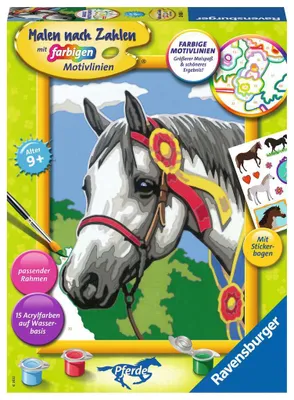 Zdjęcie produktu dla Ravensburger dumny koń pokazowy