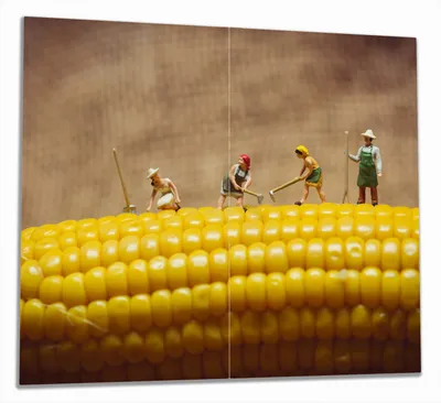 Produktbild von Wallario Herdabdeckplatte aus Glas, Größe 60 x 52 cm 2-teilig, Motiv Lustige Bauernfiguren auf einem Maiskolben beim Arbeiten