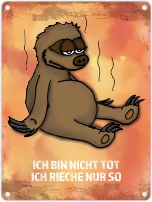 Produktbild von Metallschild mit Faultier Motiv und Spruch: Ich bin nicht tot, ich rieche ...