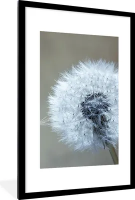 Produktbild von MuchoWow® Gerahmtes Poster Löwenzahn - Blume - Pflanze 60x90 cm - Poster mit Schwarzem Bilderrahmen Wandposter Rahmen Foto Bilder - Dekoration - Wandposter Wohnzimmer - Hochwertig