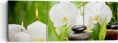 Produktbild von Bild auf Leinwand - Leinwandbild - Blume aromatherapie spa - 90x30cm - Wand Bild - Wanddeko - Leinwanddruck - Bilder - Kunstdruck - Wanddekoration - Leinwand bilder - Wandkunst - CA90x30-2718