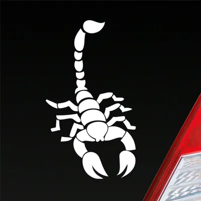 Produktbild von Auto Aufkleber Skorpion Krebs Motorrad Sternzeichen 15x8,5 cm Weiss Glanz Sticker Heckscheibenaufkleber