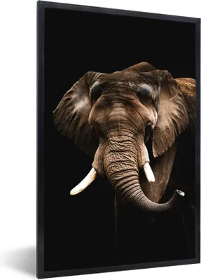 Produktbild von MuchoWow® MuchoWow® Gerahmtes Poster Elefant - Schwarz - Tiere 60x90 cm - Poster mit zchwarzem Bilderrahmen - Kunst