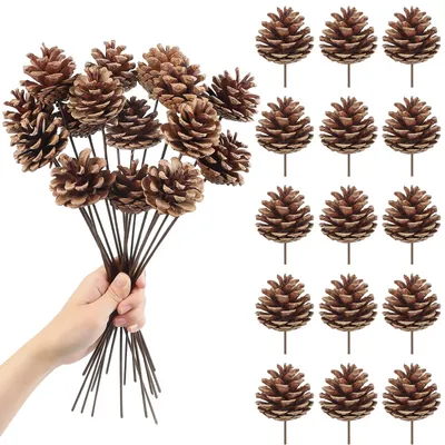 Immagine prodotto di Decorazioni naturali con pigne, 30 cm, confezione da 15 pezzi
