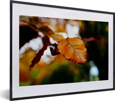 Produktbild von MuchoWow® Gerahmtes Poster Buche - Herbst - Laub 40x30 cm - Poster mit Schwarzem Bilderrahmen Wandposter Rahmen Foto Bilder - Bilderrahmen - Poster im Rahmen