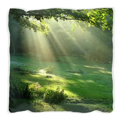 Produktbild von Wallario Premium Kissen, weiche Oberfläche, mit Motiv Sonnenstrahlen im Wald, Größe: 60 x 60 cm, mit weißer Rückseite
