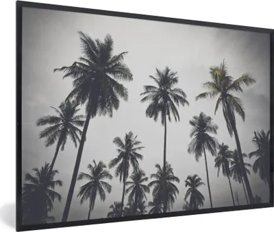 Produktbild von MuchoWow® Gerahmtes Poster Palme - Tropisch - Natur 90x60 cm - Poster mit Schwarzem Bilderrahmen Wandposter Rahmen Foto Bilder - Fotorahmen - Foto-Plakat