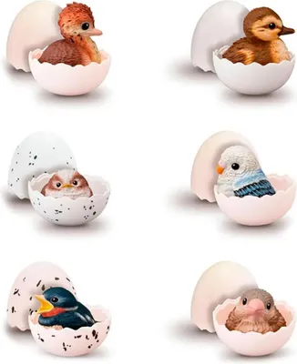 Immagine prodotto di Bandai Bird Chick Figure Assortito 7 Cm Multicolore Multicolore Taglia Unica