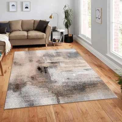 Image de Tapis de salon Design abstrait Vintage Doux Moderne Dimension 160x220 cm
