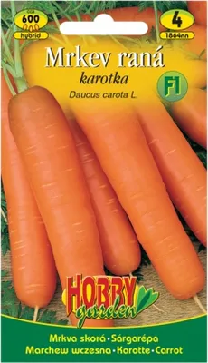 Zdjęcie produktu dla Wczesna marchew F1