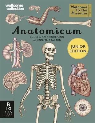 Produktbild von Anatomicum Junior