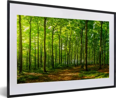 Produktbild von MuchoWow® MuchoWow® Gerahmtes Poster Wald - Baum - Pflanzen 60x40 cm - Poster mit zchwarzem Bilderrahmen - Schlafzimmer - Plakat in Rahmen - Drucken