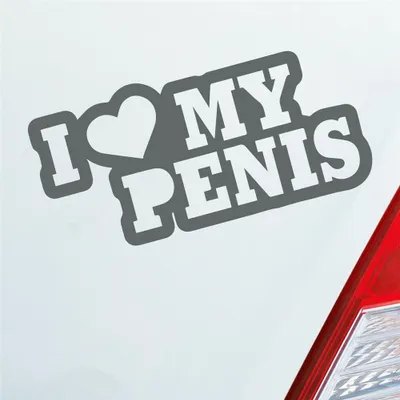 Produktbild von Auto Aufkleber I Love my Penis Lustig Spruch 15x7 cm Grau Sticker Heckscheibenaufkleber