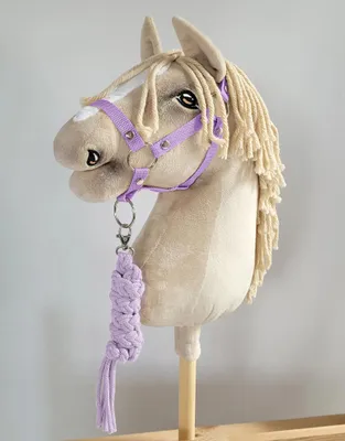 Produktbild von Hobby Horse Set: A3 Halfter + Seilleine - Lila