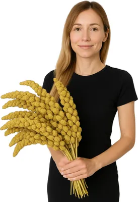 Produktbild von JR FARM Spray Millet Yellow - gelbe Hirse in Kolben für Papageien 1kg